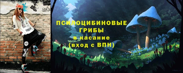 дурь Коряжма