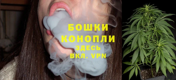 прущая мука Корсаков