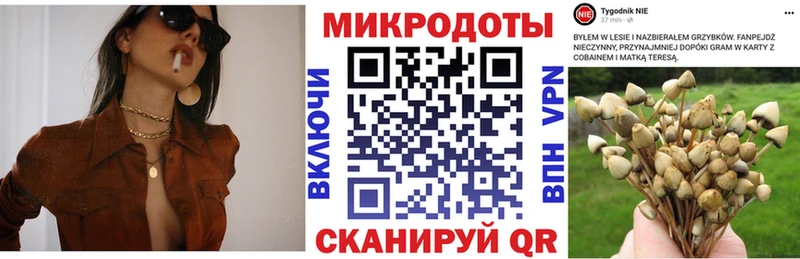 купить наркотики цена Ликино-Дулёво Псилоцибиновые грибы Magic Shrooms